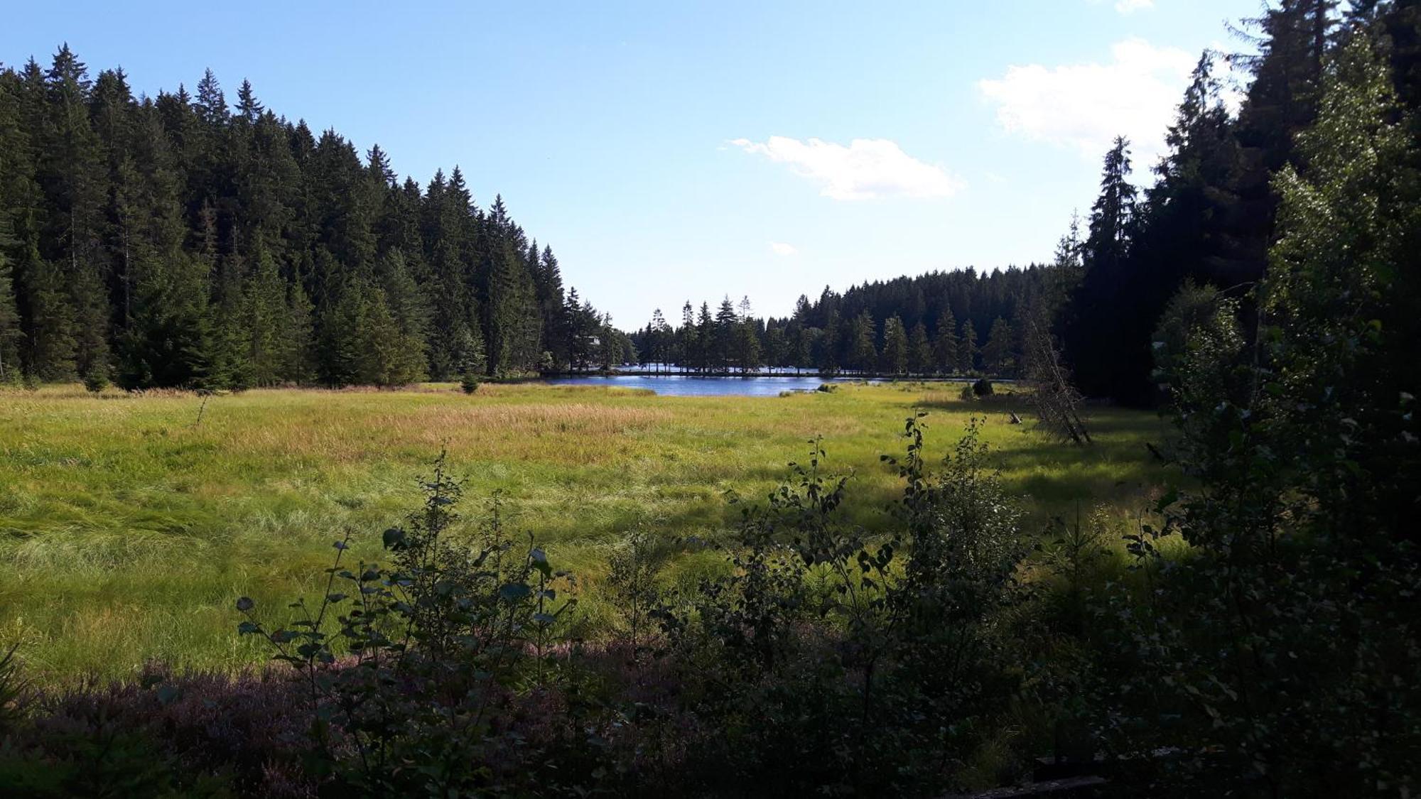 Ferienwohnung Im Bauernhaus Im Fichtelgebirge Gefrees Extérieur photo